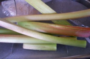 rhubarb