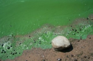 green water