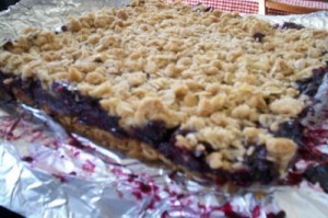 blueberry bars