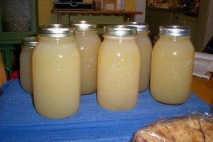 turkey stock